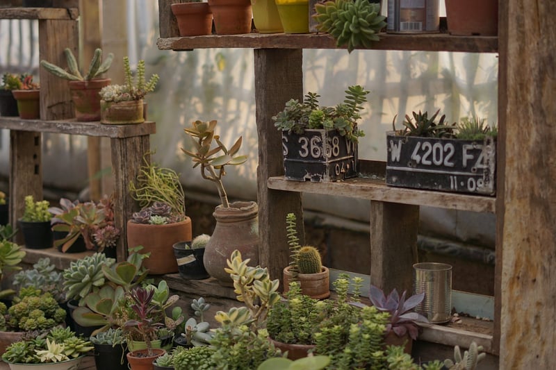 Tiered Plant Stand