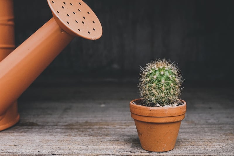 Creative Containers